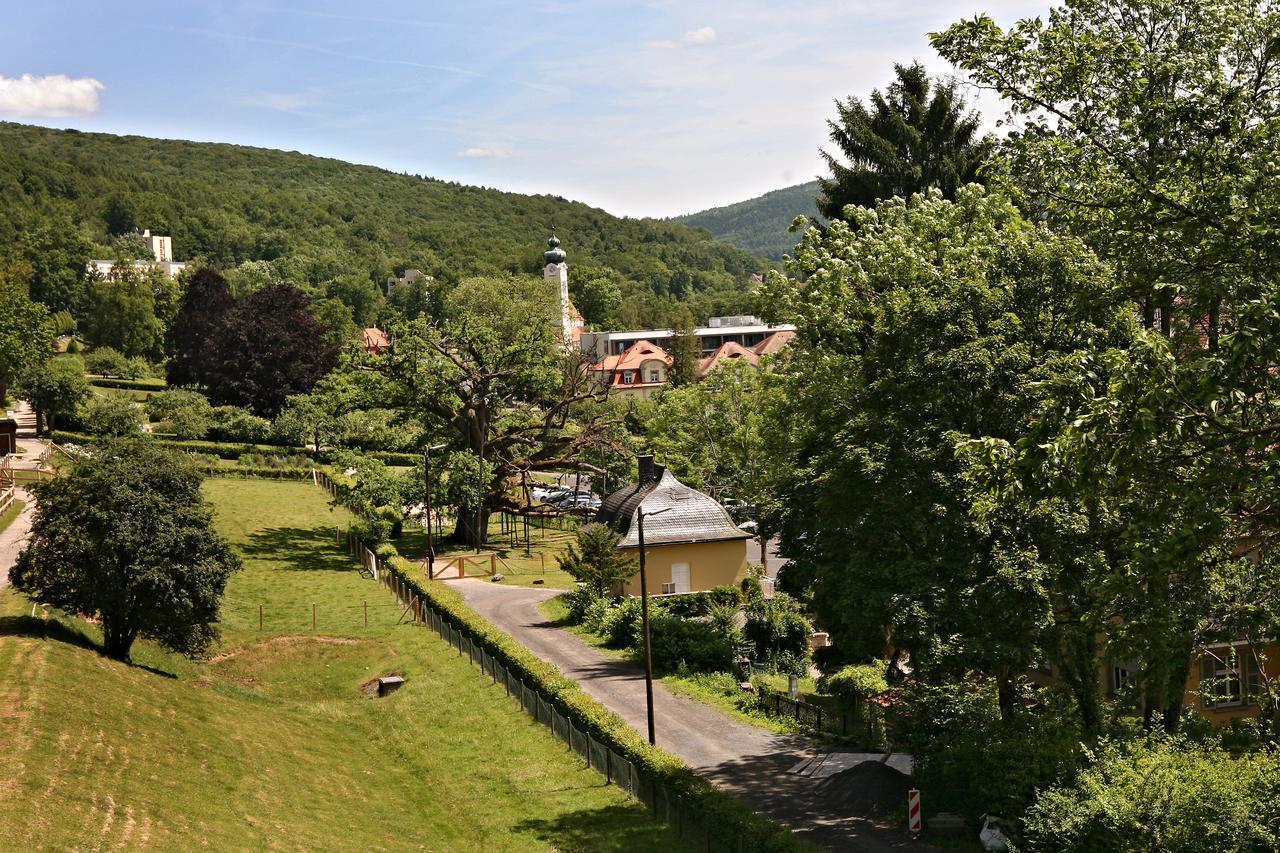 Rhoen Hotel Waldcafe St. Georg Staatsbad Brückenau Eksteriør billede