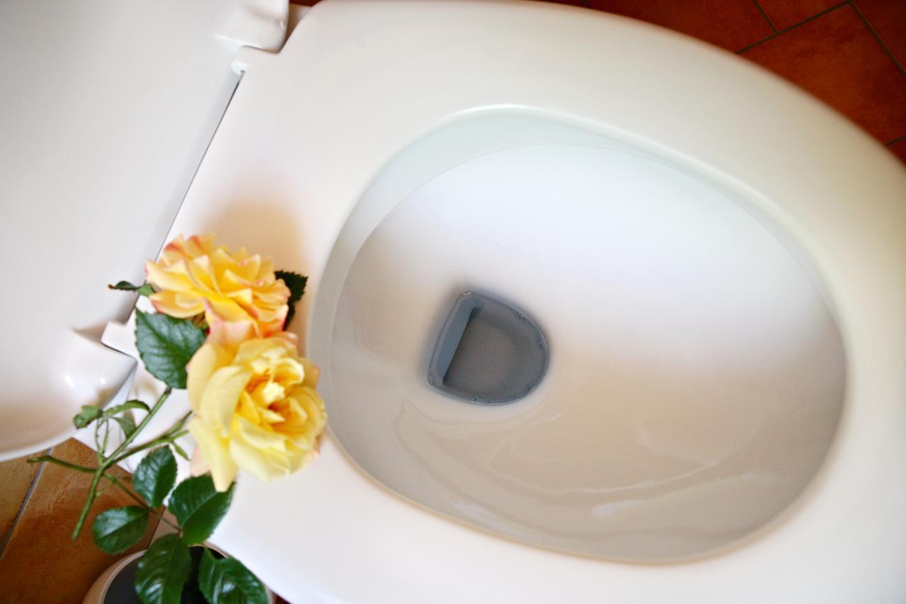 Rhoen Hotel Waldcafe St. Georg Staatsbad Brückenau Eksteriør billede
